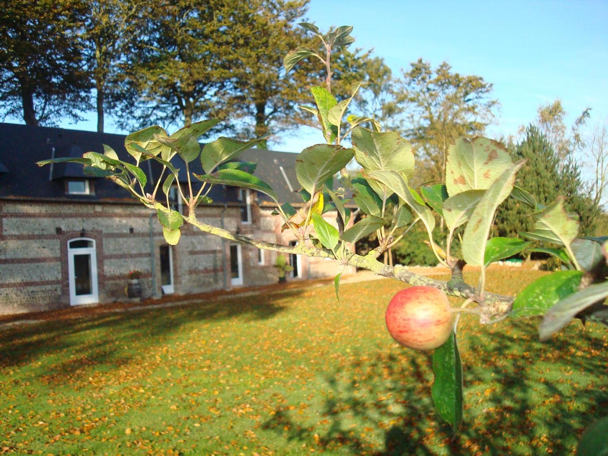 B&B Chambres D'Hotes Et Gite Clos Des Hogues Etretat Fecamp Saint-Léonard Buitenkant foto